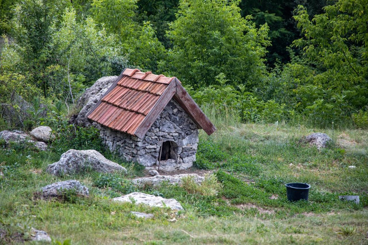 Casa Agricultorului Varzari Butuceny Exterior photo